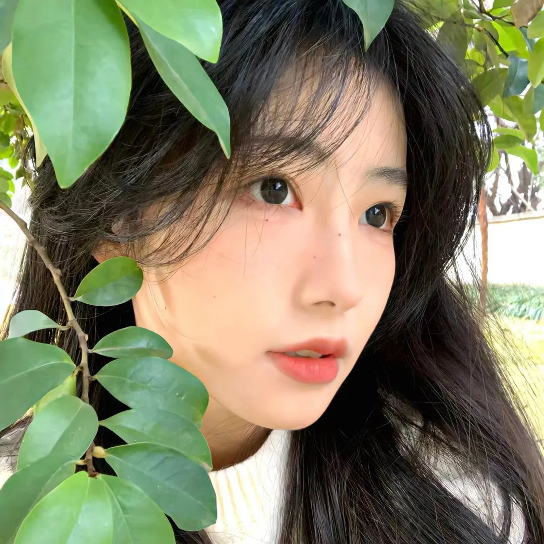 灌篮少年第二季